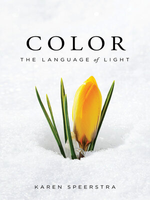 cover image of Color